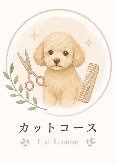シャンプーコース